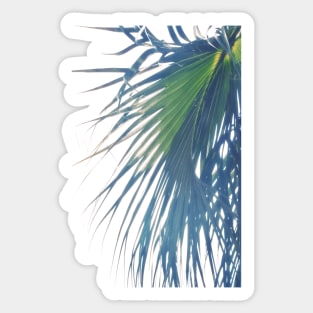 Palm Reverie Sticker